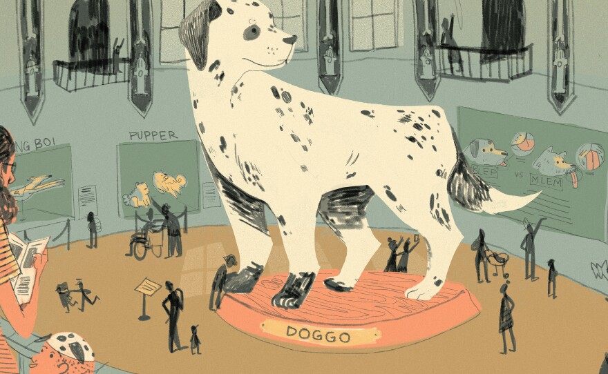 "DoggoLingo" is a language trend that's been gaining steam on the Internet in the past few years. Words like doggo, pupper and blep most often accompany a picture or video of a dog and have spread on social media.