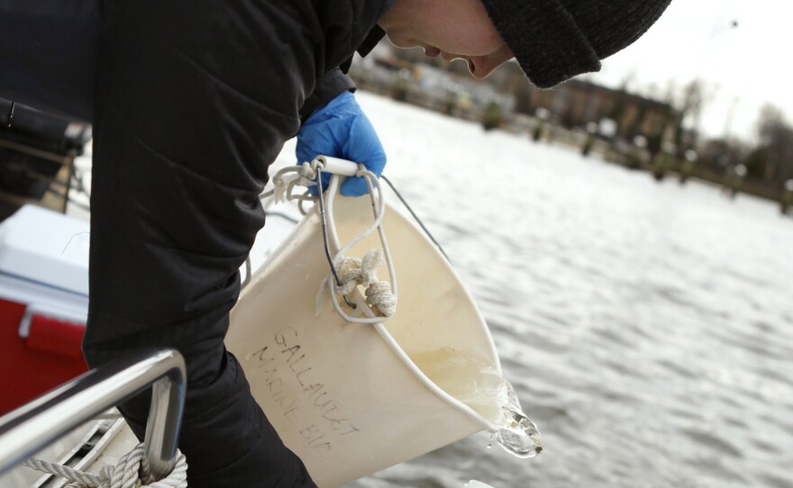 Anna McCall, a biology student at Gallaudet, collects water samples from the Anacostia River in Washington, D.C.