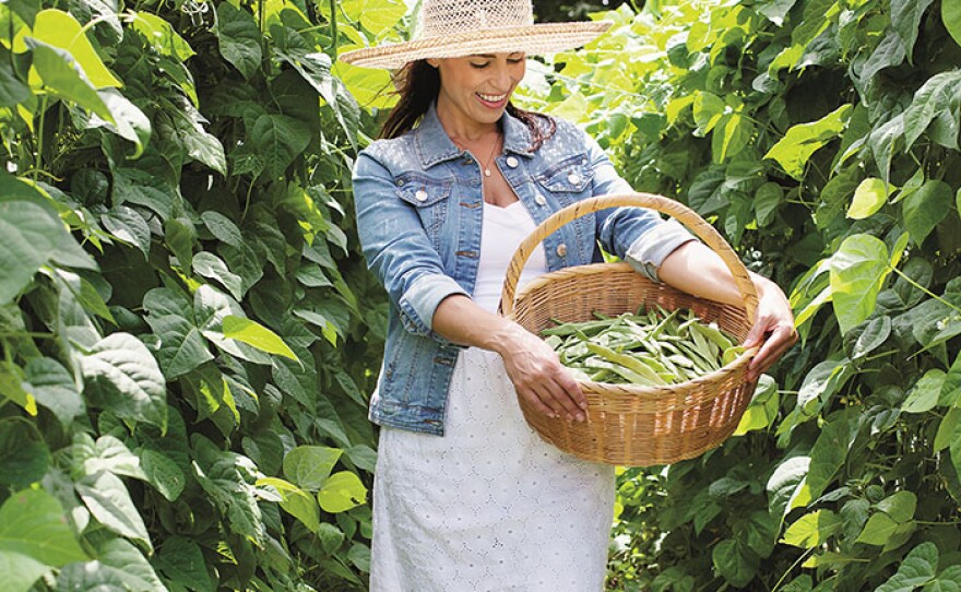 Julie Taboulie picking beans in Mama’s Glorious Garden.