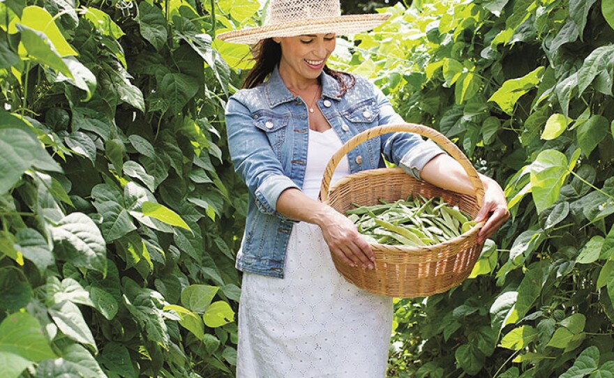 Julie Taboulie picking beans in Mama’s Glorious Garden. 