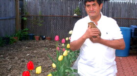 Angel Blas, 51, stands in his backyard with one of his pet guinea pigs. A law firm persuaded him to pay $3,500 to negotiate with his lender to refinance his mortgage. Blas says the firm took no action.