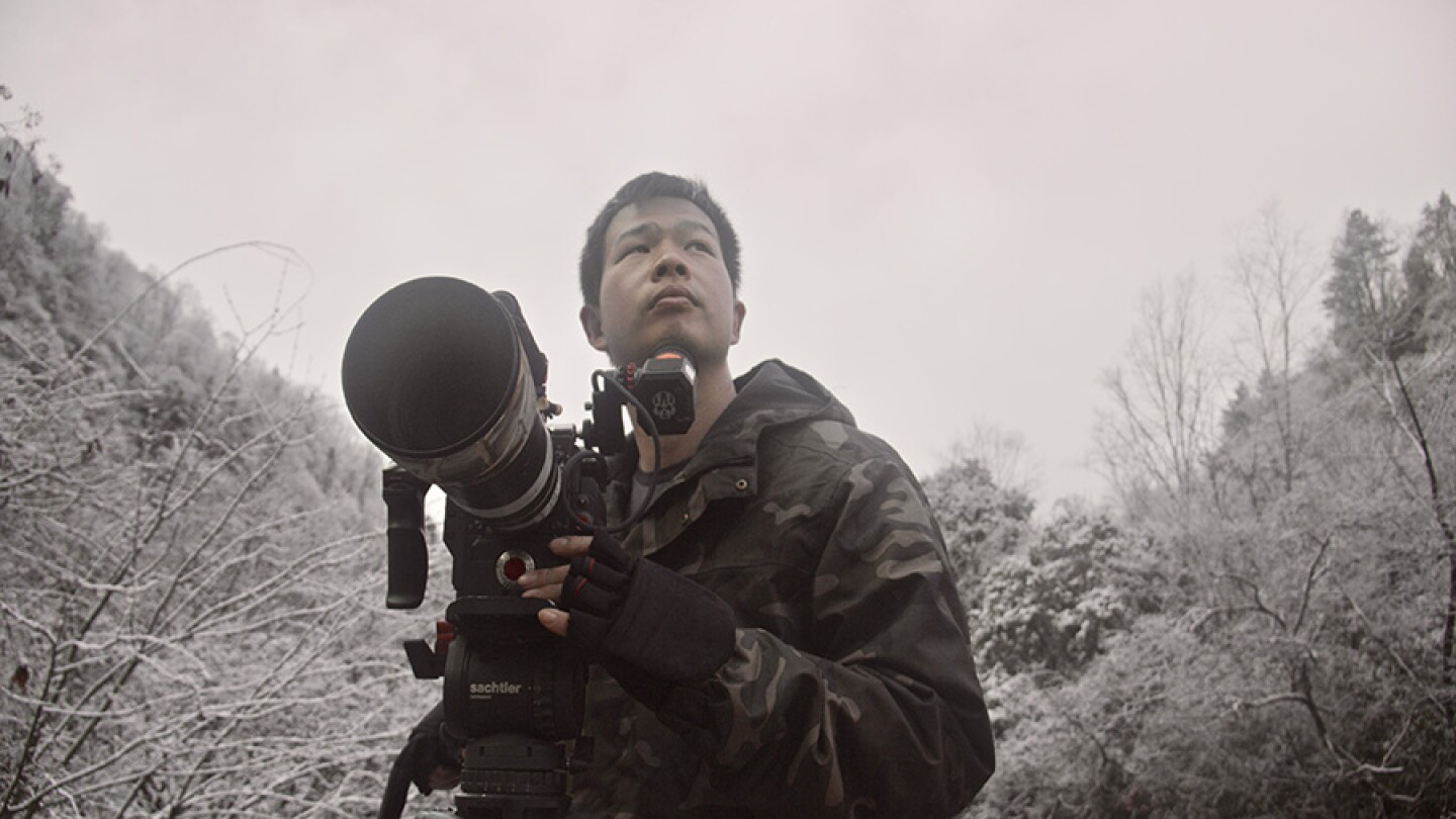 Filmmaker Yuanqi Wu on the search for a wild panda.