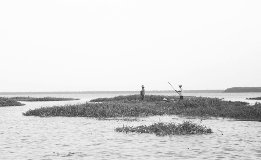 The fishing village of Nueva Venecia is situated in a lake deep in the marshlands of northwestern Colombia. The marshlands could be inundated with ocean water by 2100, if sea levels rise by 3 feet or more as projected by scientists.
