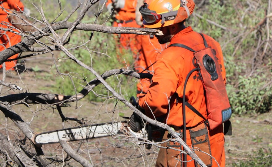 California inmate firefighters help with Valley Center's Moosa Fuel Break project in February 2021.