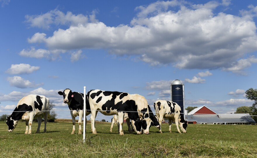 Digital food magazine Epicurious has announced it will stop publishing new recipes featuring beef in an effort to promote more sustainable cooking.