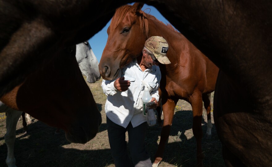Conni French is surrounded by horses as she goes about her daily chores on the cattle ranch. "I see them coming in with big money, buying up ranches and walking over the top of the people who are already here," she says.