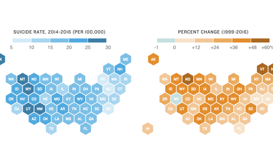 CDC: U.S. Suicide Rates Have Climbed Dramatically
