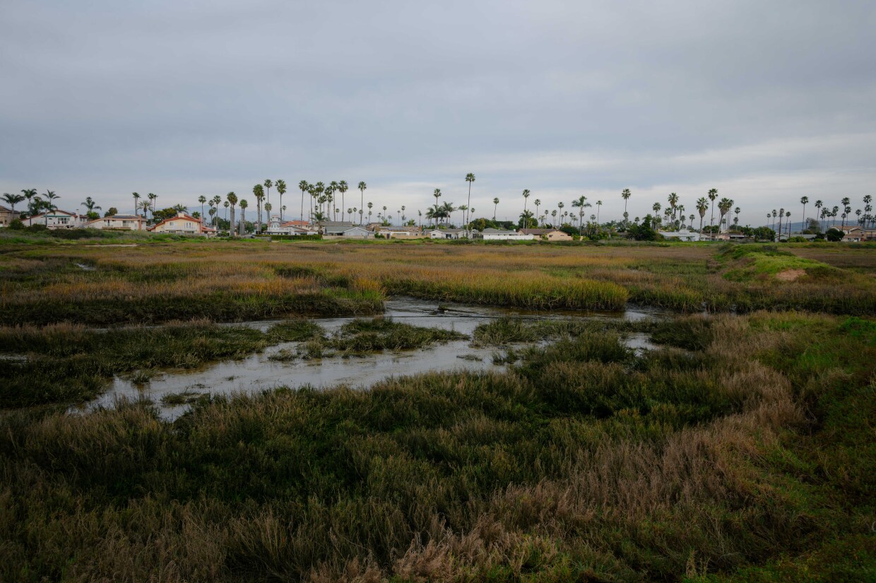 Photographs of the Tijuana River Estuary and evening at the pier in Imperial Beach, California on February 24, 2024.