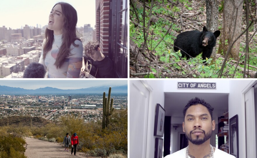Listeners of our NPR One app rated these stories as the most liked, recommended and shared in 2016.