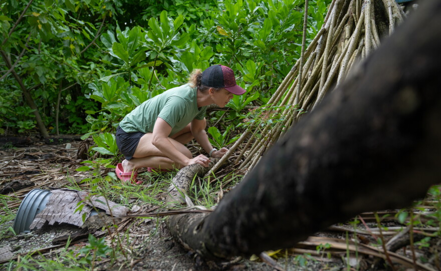 Katie Franklin of The Nature Conservancy says Palmyra Atoll's thriving ecosystem makes it a "natural laboratory, where we can really understand how an ecosystem like this works and what can we take away from Palmyra that can be useful for islands elsewhere."