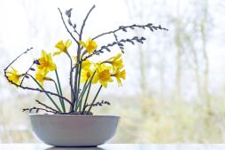 Ikebana Floral Design