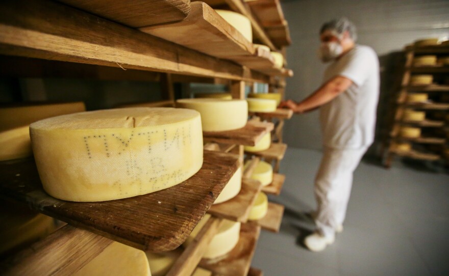 Oleg Sirota, owner of a cheese factory outside Moscow, buffs the surface of his cheeses with salt brine. The name "Putin" appears on a wheel of cheese (left).