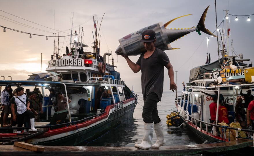 Filipino fishermen unload Yellowfin tuna, Bigeye tuna and blue marlin at a fish port in General Santos, the Philippines, on May 21, 2025.