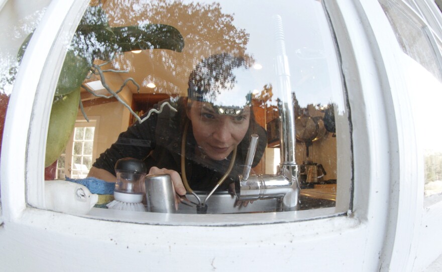 Entomologist Michelle Trautwein searches a kitchen windowsill, a common place to find arthropods that wandered in from the surrounding environment.