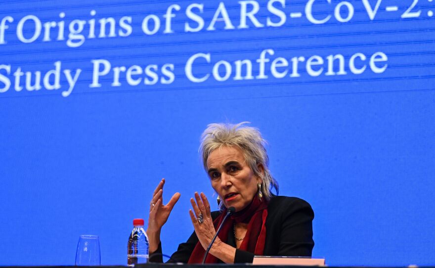 Marion Koopmans was part of a WHO team that traveled to Wuhan to investigate the start of the coronavirus pandemic. She tells NPR that the Wuhan seafood market was "not the whole story."