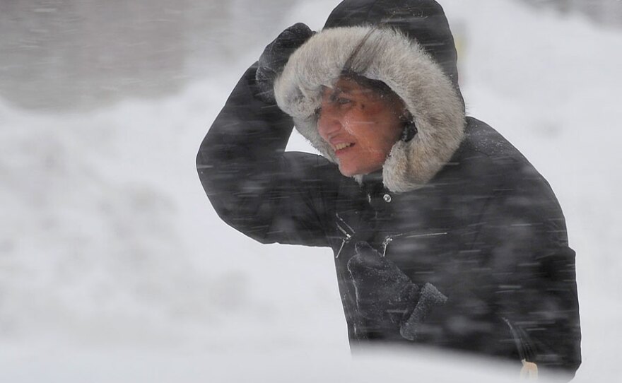 A woman struggles through a blizzard in Washington, D.C. A second major snowstorm struck the eastern U.S., paralyzing travel for millions, shutting down the U.S. capital, and forcing school closures from Virginia to New York.