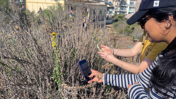 Participants take photos during an iNaturalist identification party at Kendall-Frost Mission Bay Marsh Reserve on Dec. 16, 2025.
