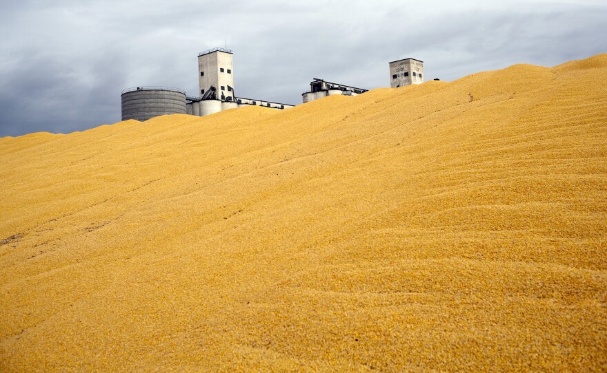 Surplus corn is piled outside a storage silo in Paoli, Colo. Do federal farm subsidies encourage the production — and perhaps overconsumption — of things that we're told to eat less of, like high fructose corn syrup or meat produced from livestock raised on subsidized grains?