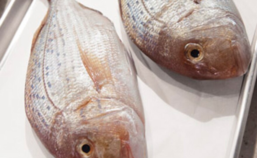 Fresh fish. Join Martha and renowned seafood chef Dave Pasternack for a beginner’s class on buying, butchering and storing fish.