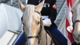 Marine Corps Cpl. Cherisess Paige, a stableman with the Marine Corps Mounted Color Guard stationed at Marine Corps Logistics Base Barstow in California, poses in front of the Thomas & Mack Center in Las Vegas.