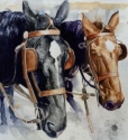 Resting Time by Susan Hewitt.jpg