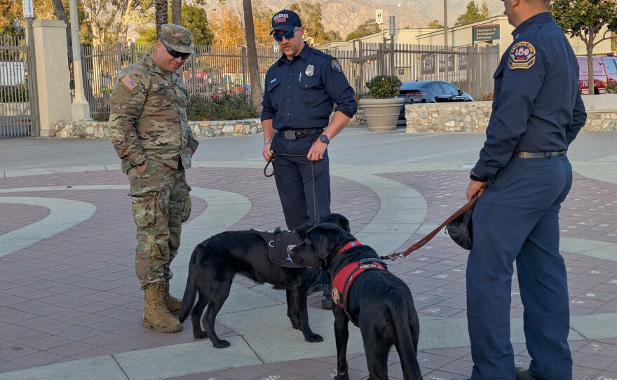 Two therapy dogs with the Salinas Fire Department were sent to Southern California to help first responders cope with the wildfires on Jan. 20, 2025.