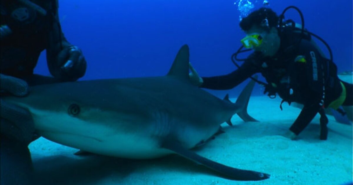 NOVA Making Stuff Smarter KPBS Public Media