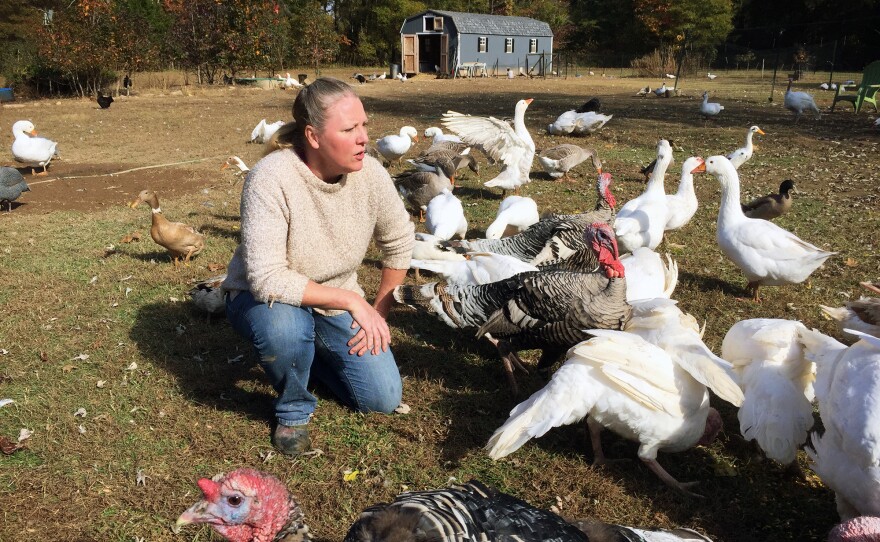 Dana Kee with her heritage-breed birds.