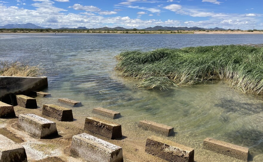 A basin where the city has been "banking" its excess Colorado River water for two decades.