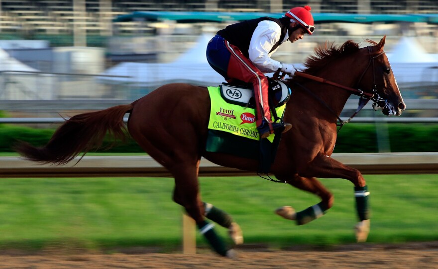 Kentucky Derby contender California Chrome exercises at Churchill Downs on Thursday in Louisville, Ky.