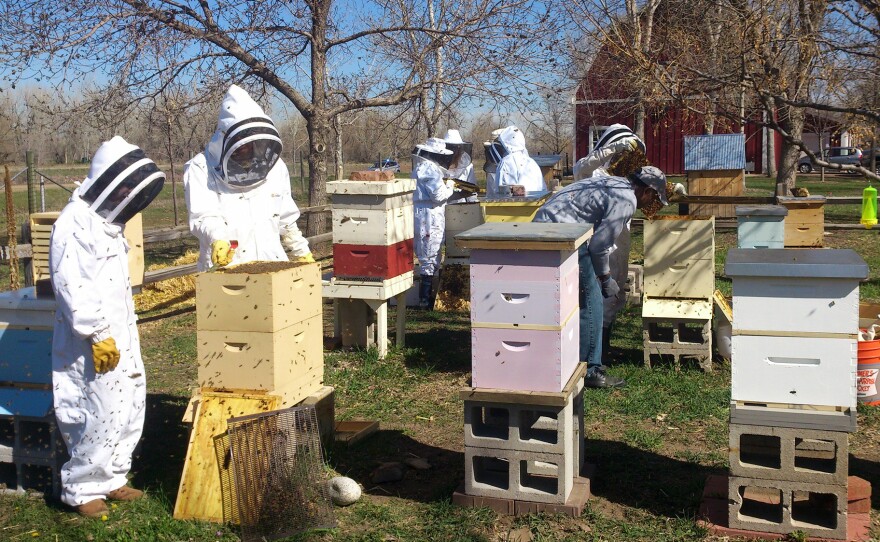 The community apiary at Hudson Gardens, near Littleton, Colo., was established in 2009. Beekeepers must go through an application process. Instead of a fee, members agree to tend the pollinator garden and participate in at least four outreach programs to educate visitors about honeybees.