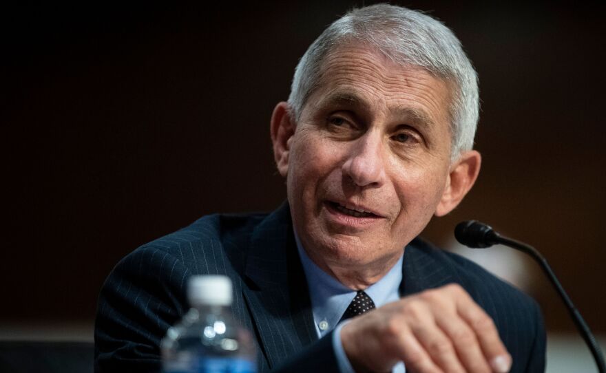 Dr. Anthony Fauci, director of the National Institute of Allergy and Infectious Diseases, has testified before Congress on the spread of the coronavirus. Reports that his relationship with President Trump had soured first surfaced in April.