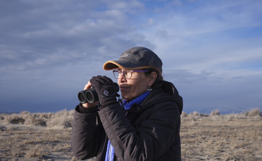 Wetlands ecologist Heidi Hoven looks for shorebirds at the Gillmor Sanctuary, which she helps manage.