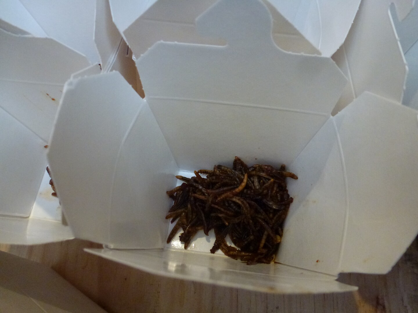 Sautéed  Chili Wax Worms