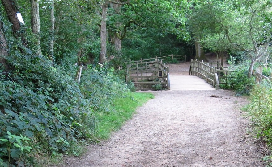 Generations of children have leaned over the side of this bridge for a game of Poohsticks in the real-life Hundred Acre Wood.