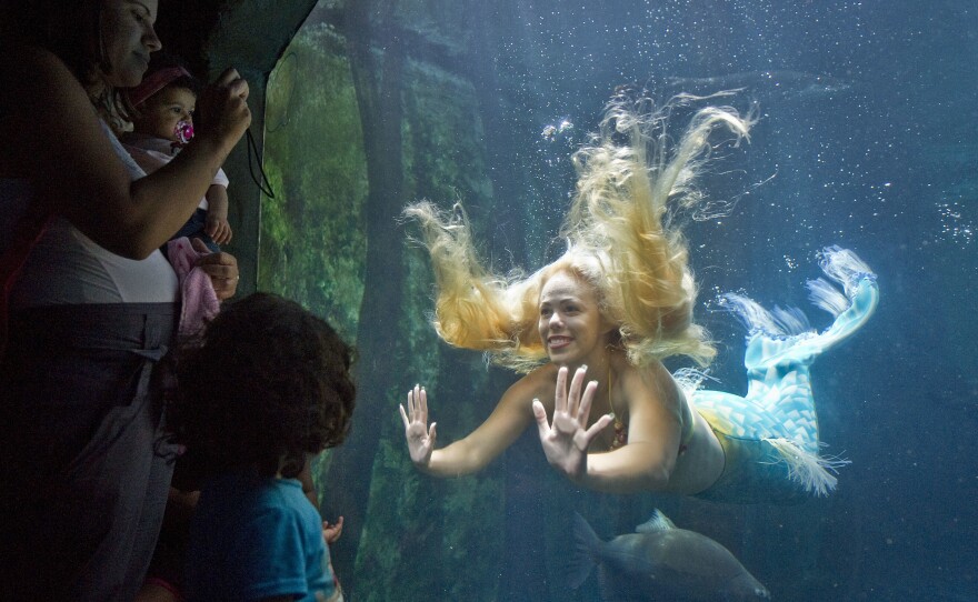 Visitors watch Mirella Ferraz as she swims with fish in a giant tank during an aquarium show in São Paulo, Brazil, in 2013.
