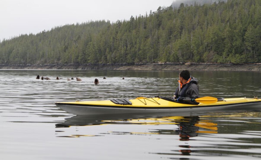 M. Sanjayan in a canoe with sea lions in the background.