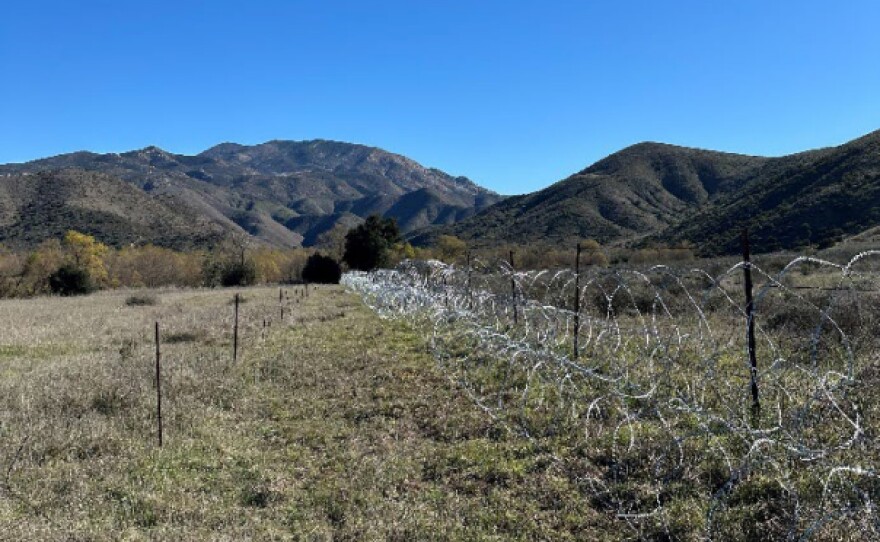 An undated photograph of a razor