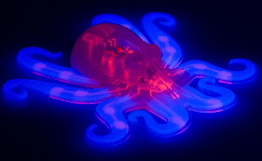 A pneumatic network, in red, is embedded within the octobot's entirely soft body and elastic arms, in blue.
