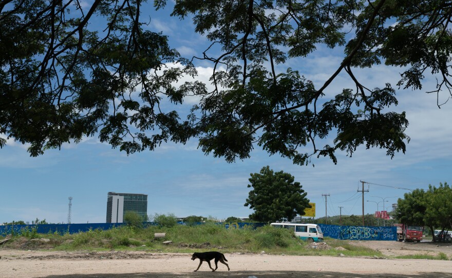 A dog walks across the dusty parking lot where Linda Tule holds her village court in Port Moresby.