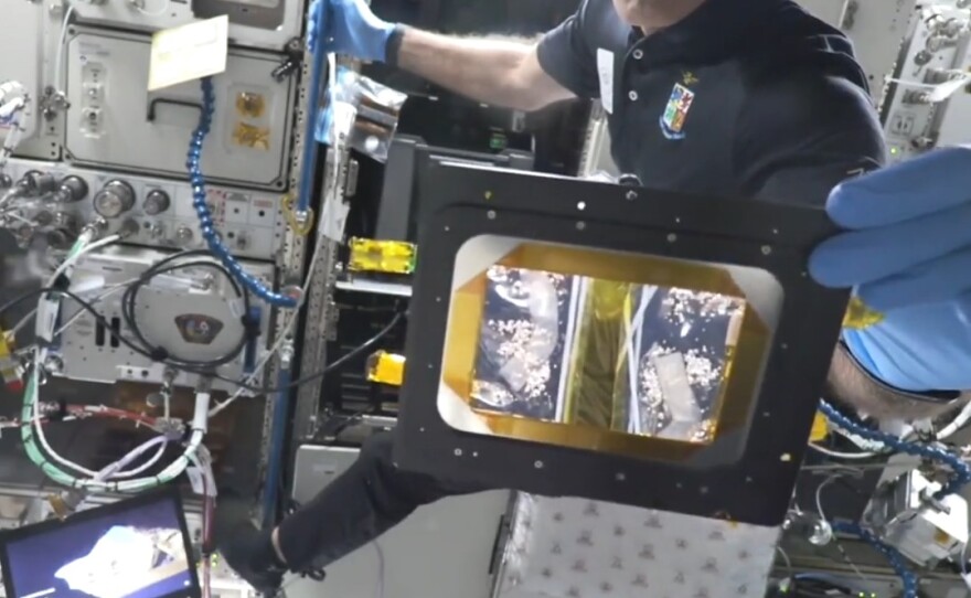 Astronaut Walter Villadei holds a sample of breast cancer in low-earth orbit to test an experimental inhibitor drug in this undated photograph