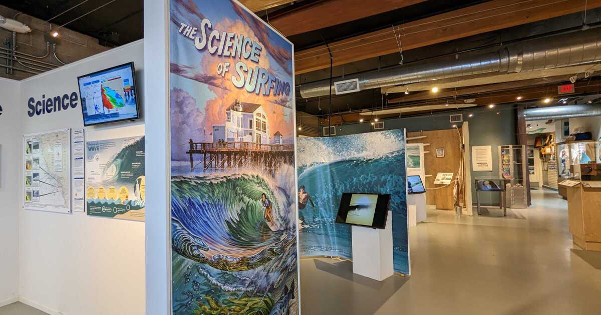 Oceanside's Surf Museum explores science of surfing | KPBS Public Media