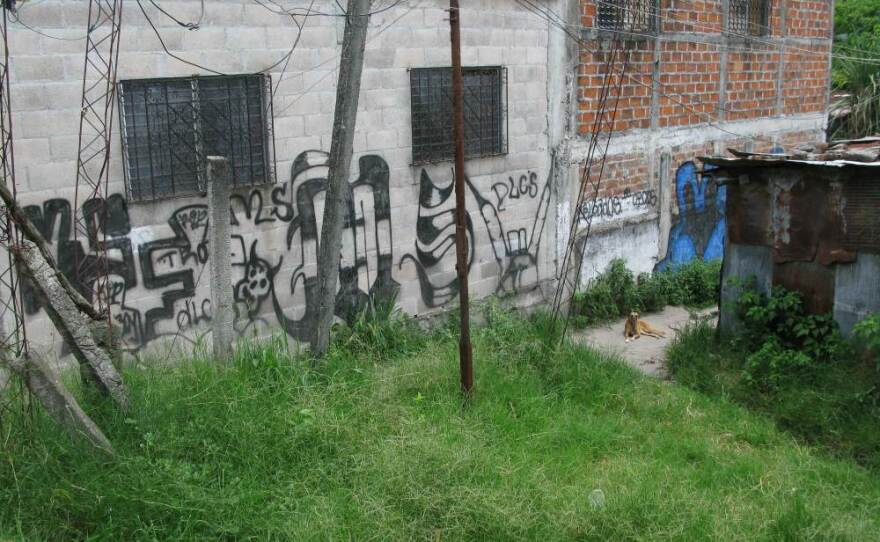 "Selling drugs is for the benefit of everyone," says a leader of the Mara Salvatrucha, or MS, gang in San Salvador's La Victoria neighborhood. "If someone sells drugs, it's because of all the needs of everyone in the community. There are colleagues who don't have a mother or anything, and only the gang helps them — no one else."