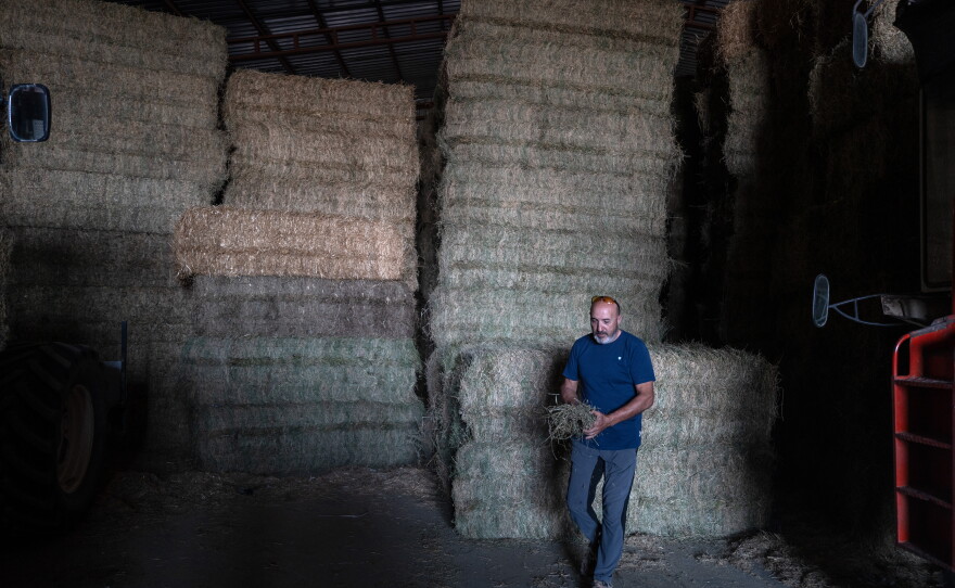 Julio Enfedaque carries some alfalfa in Villanueva de Gallego, Spain, on Sept. 27. He fears the construction of so many water-hungry data centers in this region will leave him without enough of the resource to grow his crops. His family has farmed here for generations. He believes this way of life is so under threat that he says he is advising his nephews to find other careers.
