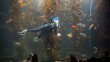 Celeste Parry cleans in Birch Aquarium's Giant Kelp Forest Tank on Aug. 14, 2025. San Diego, Calif.