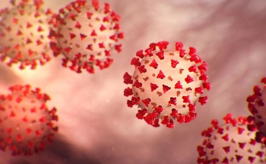 coronavirus_BOwvipz_t800.jpg