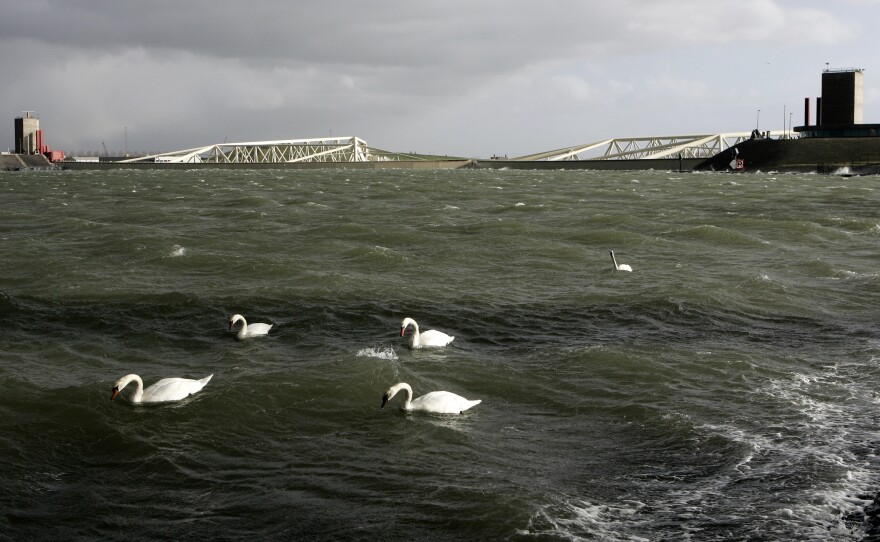Swans pass in front of the closed Maeslant Barrier gates in the Netherlands, in November, 2007. Similar gates have been proposed to protect Manhattan from rising seas.