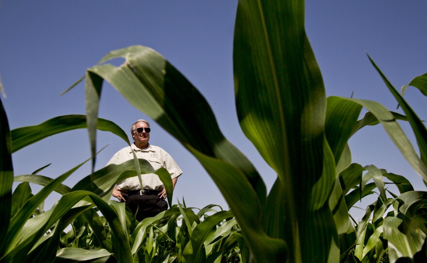 "Eliminating hunger in America is doable," Buffett says, "because we have the resources to do it."