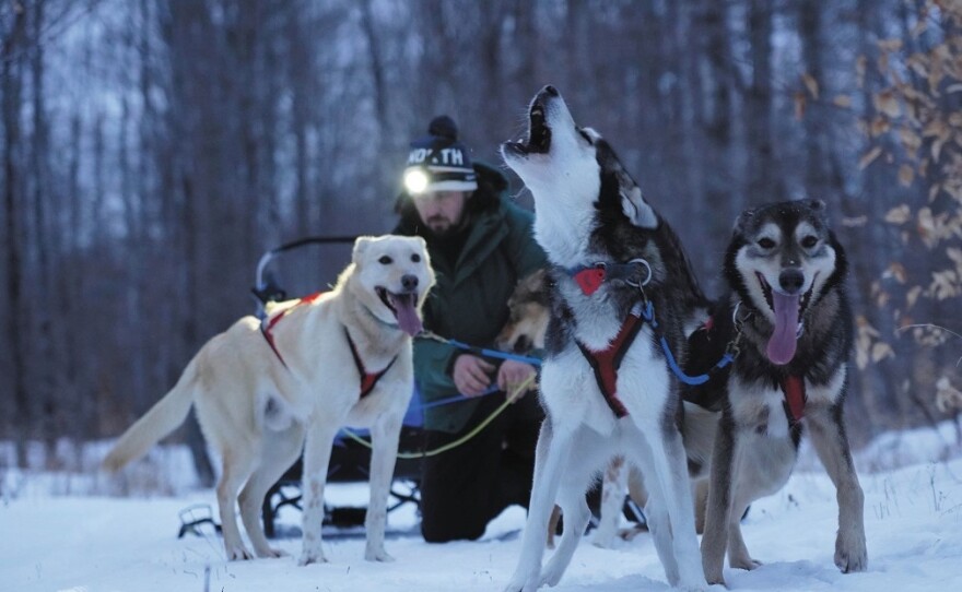 Braverman says the dogs she has at home are "a lot of work and a lot of love."