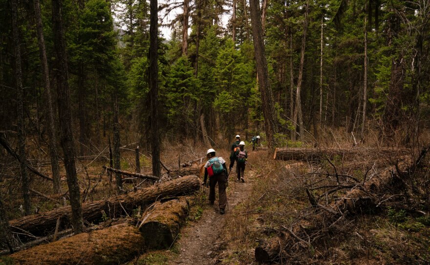 Members of the Montana Conservation Corps work on trails near Tally Lake.